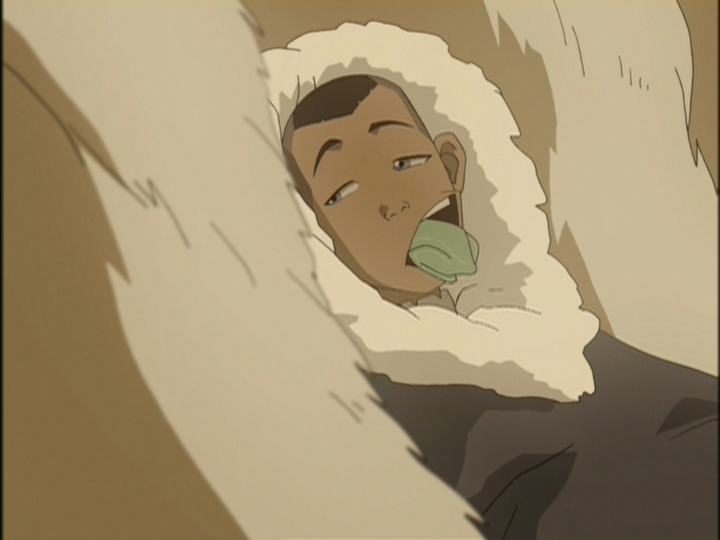 And so, Sokka recovers from his fever, only to freak the fuck out on toad.