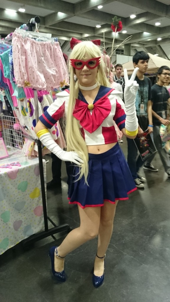 There were several Sailor Guardians, but only ONE Sailor V!