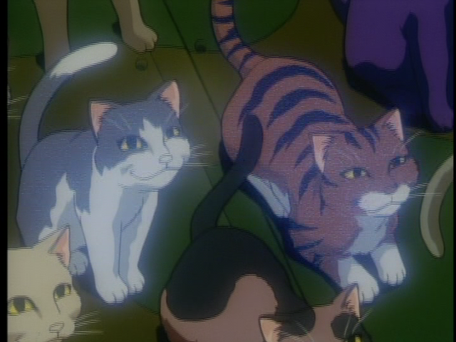 I'm fairly certain sinister cats are a trope with a name that eludes me at the moment.